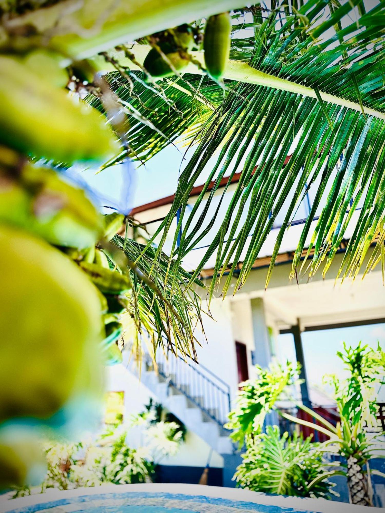 Batur Volcano Guesthouse Kintamani Екстериор снимка